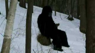 BONE CHILLING BIGFOOT FOOTAGE [upl. by Latsyk]