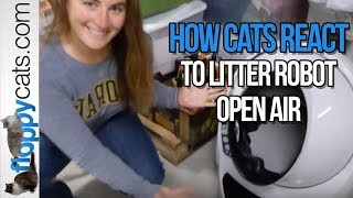 How Cats React to Litter Robot 3 Open Air Litter Robot Arrival Video  Floppycats [upl. by Htes]