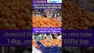 today Chintamani tomato rates Tomato rates Kolar tomato market rates Venu7tv Kolar Chintamani [upl. by Rabin]