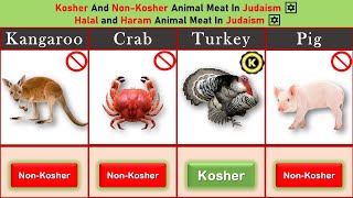 Kosher And Non Kosher Animal Meat In Judaism ✡️ Halal and Haram Animal Meat In Judaism ✡️ [upl. by Bettye]