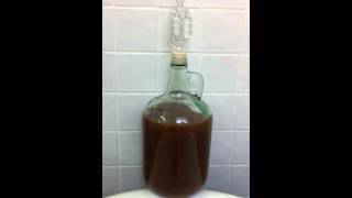 Molasses fermentation [upl. by Anaicilef124]