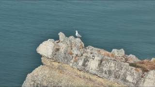 2016  NAZARÉ  PORTUGAL [upl. by Othilie]