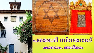 ജൂടൗൺ സിനഗോഗിലൂടെ ഒരു യാത്ര😇 jew townsynagogue  video youtubevideo synagogue trending kochi [upl. by Ayerdna]