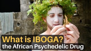 What is IBOGA The African Psychedelic Drug [upl. by Aiksas44]