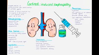 Contrast Induced Nephropathy  pathophysio causes risk factors symptoms treatment prevention [upl. by Morty]