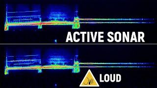 Active Sonar Sound Extracted  Caution Loud Audio [upl. by Hearn]