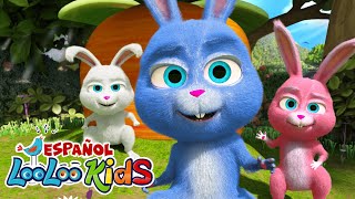 🌟 Este Credito  🐰 Conejitos Dormilones  Sueños y Aventuras Musicales con LooLoo [upl. by Chatav]