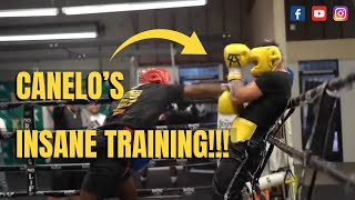 CANELOS INSANE TRAINING [upl. by Adnawyt]