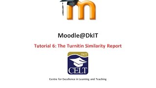 The Similarity Report in Turnitin [upl. by Clementas883]