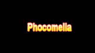 What Is The Definition Of Phocomelia Medical School Terminology Dictionary [upl. by Docile]