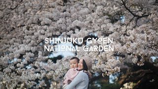 Cherry Blossoms in Shinjuku Gyoen National Garden Tokyo  Cinematic [upl. by Clea282]