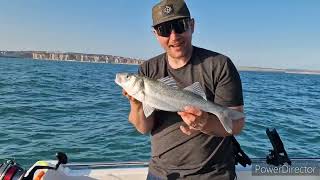 lure fishing for BASS sea fishing UK [upl. by Atalante]