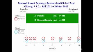 Keap1Nrf2 signaling adaptive responses to exogenous and endogenous stress [upl. by Yoccm907]