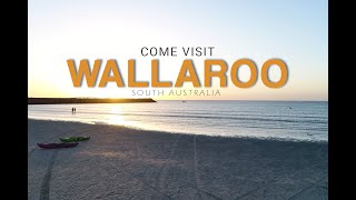 Welcome To Wallaroo [upl. by Delcine369]