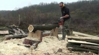 cutting some black locust posts for electric fence [upl. by Bazluke]