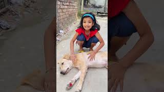 Papa hamare dog ko chot lag gai 😱🥹KritikachannelShortsviraltrendingytshorts [upl. by Coniah]