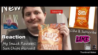 Reaction to My Snack Reviews Sun Chips Harvest Cheddar [upl. by Salaidh]