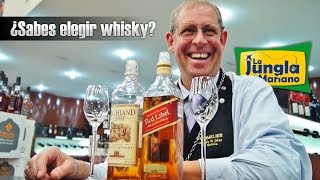 ¿Sabes elegir whisky [upl. by Yekcor454]