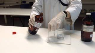 Lead Nitrate and Potassium Iodide [upl. by Nert]