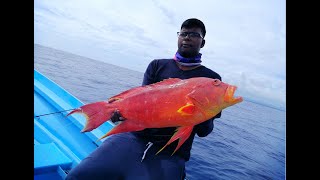 Jigging Tropical Reef Fish In Mauritius Episode 1 GTGROUPERBLUEFIN TREVALLY ETC [upl. by Ynneh600]