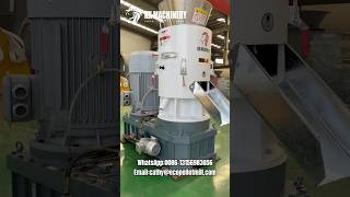 Biomass Wood Sawdust Pellet Press Machine Waste Wood Pellet Press Mill [upl. by Scherle]