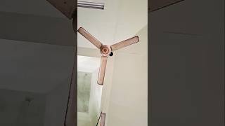 Ceiling fan ceilingfan shorts [upl. by Younger]