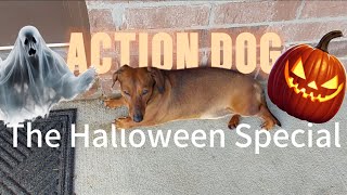 ACTION DOG The Halloween Special [upl. by Eloccin274]