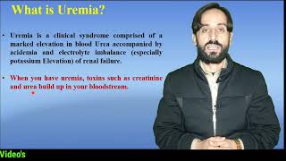 Uremia vs Azotemia [upl. by Granville]