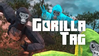 Gorilla Tag Store Launch  Meta Quest [upl. by Azeret]