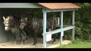 Coshocton Ohio Horse Drawn Canal Boat Part 4 [upl. by Ennaus]