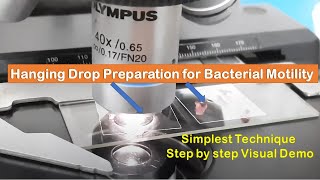 Hanging Drop Preparation for Motility testing of Bacteria Step by Step Demonstration [upl. by Hannus964]