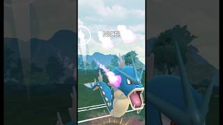 Triple Gyarados VS Team Rocket [upl. by Klockau]