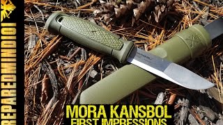 Mora Kansbol Outdoor Knife First Impressions Use  Preparedmind101 [upl. by Eidassac701]