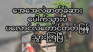 ပလောင်သူပုန် တောင်တက်မြန်သွားကြပီဦးစစ် [upl. by Bonnes165]