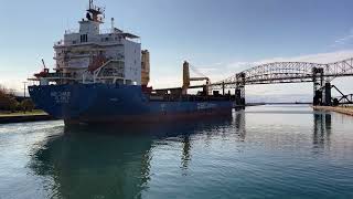 Salt water vessel BBC Zarate in the Soo Lock Canal [upl. by Gilcrest76]