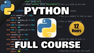 Python Full Course for free 🐍 2024 [upl. by Jillie]