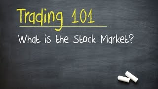 Trading 101 What is the Stock Market [upl. by Aihsiek]