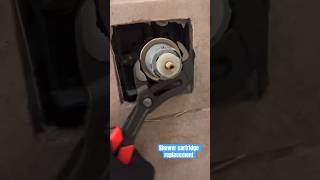 How to replace a delta shower cartridge diy plumping plumber homerepair shower homeimprovement [upl. by Tizes]