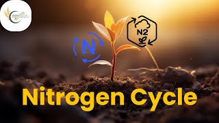 Nitrogen Cycle  Biological Nitrogen Fixation  Microorganisms  Fertilizer Role  PlantNutrients [upl. by Delinda610]