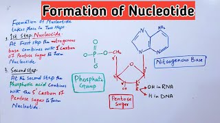 Formation of Nucleotide and Nucleoside Biochemistry Lectures  Jiyas Biology Tutorials [upl. by Aeynod687]