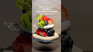 Harry Potter live from Japan japan magic harrypotter hogwarts sweet dessert tokyo [upl. by Kipton72]