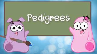 An Introduction to Pedigree Analysis [upl. by Dessma759]