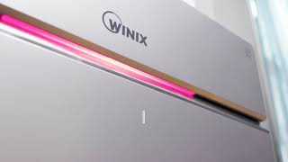 WINIX Air Purifier Zero Pro [upl. by Trudey137]