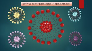 Graphical Abstract Part 11 How to draw Liposome Nanoparticles easily in PowerPoint [upl. by Norine946]