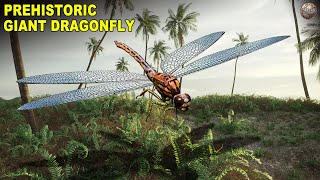 Meganeura  The Prehistoric Dragonfly With A TwoFoot Wingspan [upl. by Eiramac]