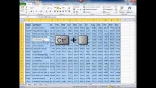 Excel  Selecteren van een selectie met sneltoetsen [upl. by Etnaed220]