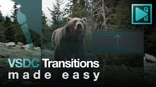 VSDC Transitions Made Easy A Comprehensive Tutorial [upl. by Ardin782]