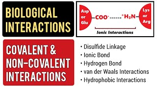 Biological Interactions  Covalent and Noncovalent Interactions [upl. by Elac]