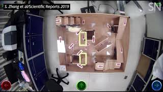 Watch a humancontrolled rat navigate a maze  Science News [upl. by Notsniw]