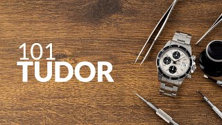 TUDOR explained in 3 minutes  Short on Time [upl. by Sorenson891]